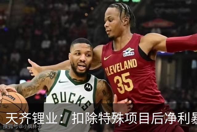 天齐锂业：扣除特殊项目后净利暴增31万%背后的驱动力